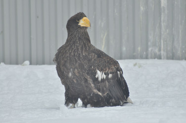 Similar image 21503676