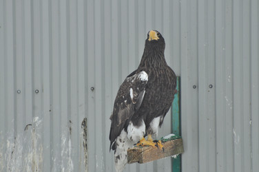 Similar image 21503886