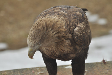 Similar image 21503889