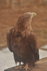 Similar image 21503890