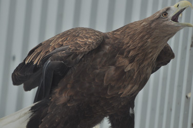 Similar image 21503891