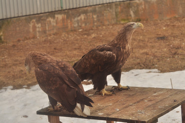 Similar image 21503893