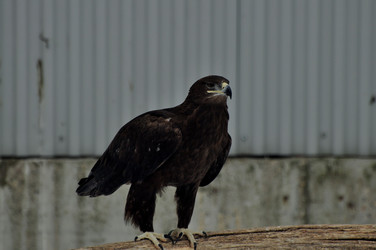 Similar image 21503894