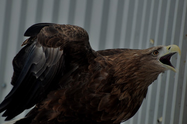 Similar image 21503895