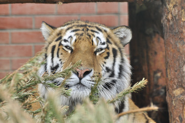 Similar image 21503983