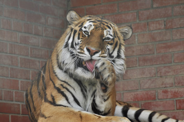 Similar image 21504168