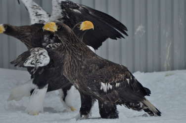 Similar image 21504169