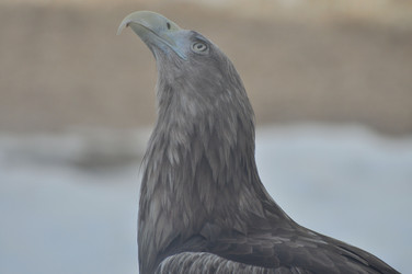 Similar image 21504170