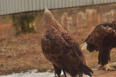 Similar image 21504172