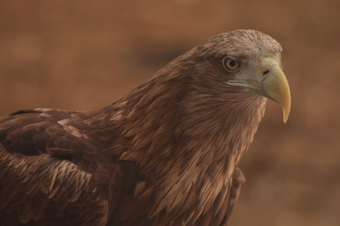 Similar image 21504173