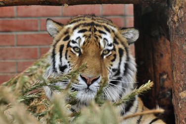 Similar image 21504174