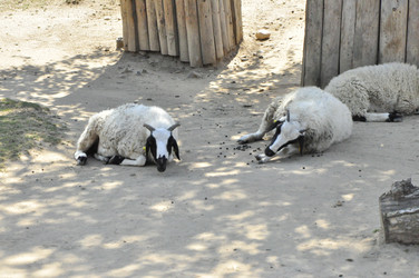 Similar image 21503678