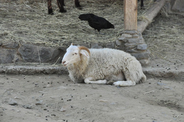 Similar image 21503679