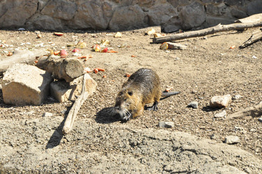 Similar image 21503680