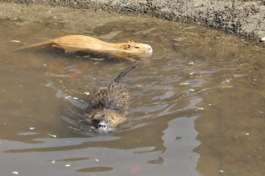 Similar image 21503681