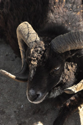 Similar image 21503683