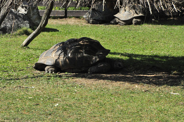 Similar image 21503684