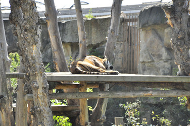 Similar image 21503687