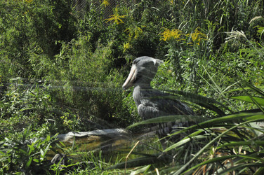 Similar image 21503688