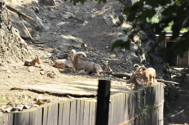 Similar image 21503896