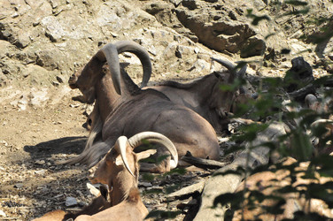 Similar image 21503897