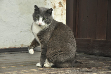 Similar image 21503898