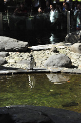 Similar image 21503901