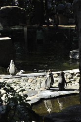 Similar image 21503987