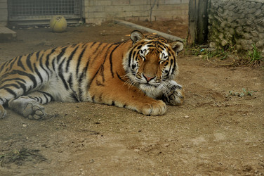 Similar image 21504176