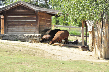 Similar image 21504177