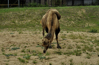 Similar image 21504178