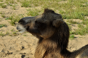 Similar image 21504179