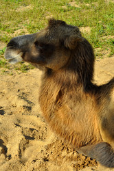 Similar image 21504180