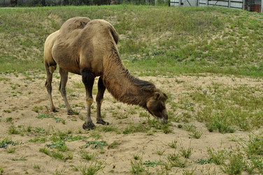 Similar image 21504181