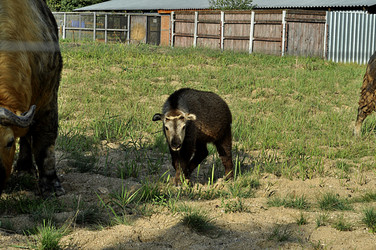 Similar image 21504182