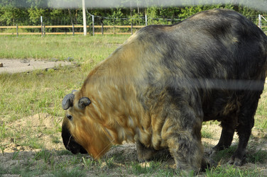 Similar image 21504289