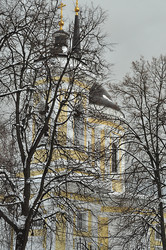 Similar image 21503692