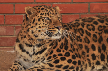 Similar image 21504186