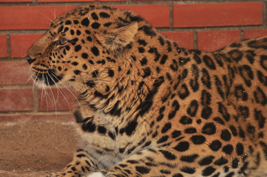 Similar image 21504187