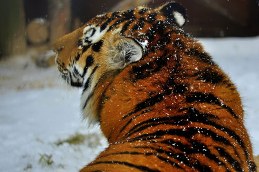 Similar image 21504190