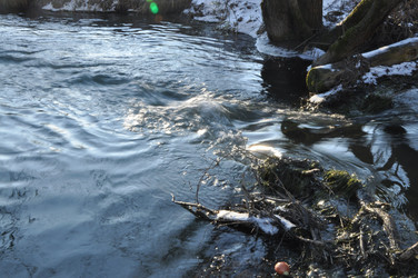 Similar image 21499643