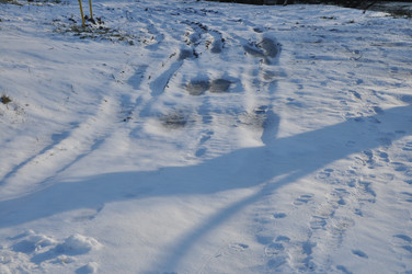 Similar image 21499644