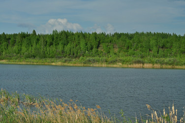 Similar image 21499647