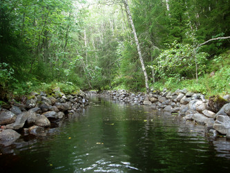 Similar image 21499653