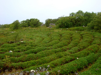 Similar image 21499718