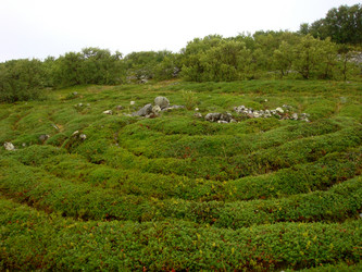 Similar image 21499719