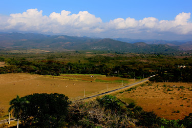 Similar image 21499723