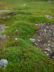 Similar image 21499725