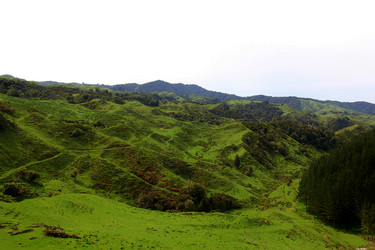 Similar image 21499732