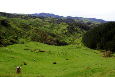 Similar image 21499733